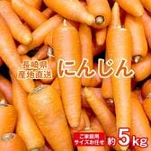 【予約受付】11/10~順次出荷【約5kg】長崎にんじん （ご家庭用）