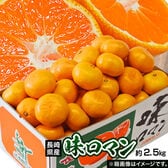 【予約受付】11/17~順次出荷【約2.5kg】長崎県産 極甘みかん 味ロマン