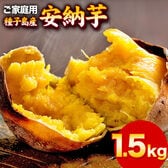 【1.5kg】種子島産安納芋※家庭用(傷あり サイズ不揃い)