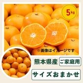 【5kg】熊本みかん サイズおまかせ(ご家庭用)