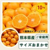 【10kg】熊本みかん サイズおまかせ(ご家庭用)