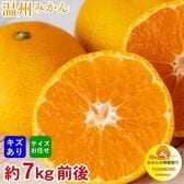 【予約受付】11/1~順次出荷【約7kg前後】厳選 温州みかん(傷あり)