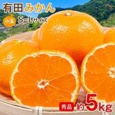 【予約受付】11/5~順次出荷【約5kg/S~Lサイズ】《秀品》和歌山県産 有田みかん