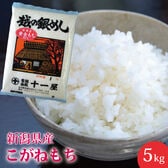 【5kg(5kg×1)】新潟県産こがねもち≪令和7年産≫