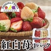 【予約受付】12月上旬~順次出荷【福岡・佐賀他】4パック　紅白苺（あまおう＆白いちご）