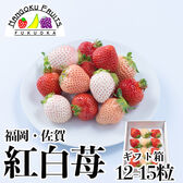 【予約受付】12月上旬~順次出荷【福岡・佐賀他】12-15粒ギフト箱　紅白苺（あまおう＆白いちご）