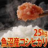 【25kg (5kg×5袋)】令和7年産 新米 魚沼十日町産コシヒカリ