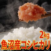 【2kg×1袋】令和7年産 新米 魚沼十日町産コシヒカリ