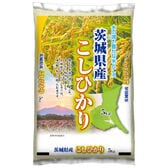 【5kg】新米 [精米] 令和7年産 茨城県産コシヒカリ 白米