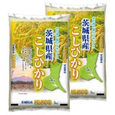 【計10kg/5kg×2袋】[精米] 令和7年産 茨城県産コシヒカリ 白米