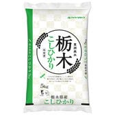 【5kg】[精米]令和7年産 栃木県産コシヒカリ 白米
