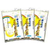 【計15kg/5kg×3袋】新米 [精米]令和7年産 栃木県産とちぎの星 白米