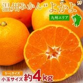 【約4kg/S~Lサイズ】九州みかんよかよ♪  九州産温州みかん厳選 小玉