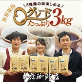 【計3kg(500g×3種×2袋)】［加藤珈琲店］Qグレード3種たっぷり3kg＜挽き具合：豆のまま＞