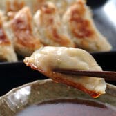 【計75個(15個×5パック)】黒豚ひとくち餃子