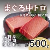 【約500g】まぐろ 中トロ柵（豊洲加工）大きさ形不揃い皮付き柵