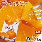 【予約受付】11/25~順次出荷【約3kg】《秀品》愛媛県産 紅まどんな 大きさお任せ