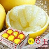 【予約受付】12/20~順次出荷【6玉】土佐文旦 秀品
