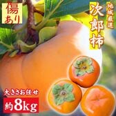 【予約受付】11/10~順次出荷【約8kg】地域厳選 次郎柿 (ご家庭用、傷あり)