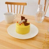 【3号】ピスタチオの香ばしさあふれる魅力一杯の白金プレミアム ミロワールピスターシュ