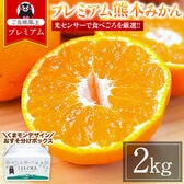 【2kg】プレミアム熊本みかん