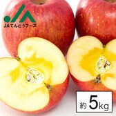【予約受付】11/15~順次出荷【約5kg/糖度13度以上保証】山形県産サンふじりんご※傷シミあり