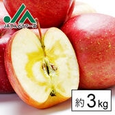 【予約商品】11/15~順次出荷【約3kg】山形県産サンふじりんご※傷シミあり