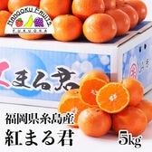 【予約受付】12月上旬~順次出荷【福岡県糸島】5kg　紅まる君