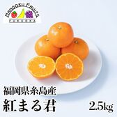 【予約受付】12月上旬~順次出荷【福岡県糸島】2.5kg　紅まる君