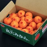 【約5kg( S〜Lサイズ)】愛媛県産 JAにしうわ『真穴みかん』