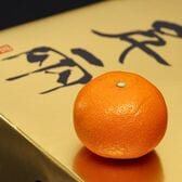 【約5kg/S~Lサイズ】愛媛県産『日の丸みかん ゴールド千両』《特秀品》
