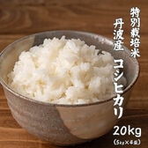【20kg(5kg×4袋)】特別栽培米 コシヒカリ(精白米) 丹波産 令和7年産