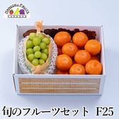 【予約受付】12月上旬~順次出荷 旬のフルーツセットF25（シャインマスカット・紅まる君）