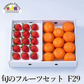【予約受付】12月上旬~順次出荷 旬のフルーツセットF29 (あまおう・紅まる君)