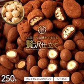 【250g】贅沢仕立てプレミアムショコラナッツ ヘーゼルナッツ