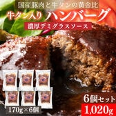 【賞味期限間近】【170g×6個】牛タン入りハンバーグ(デミグラスソース）