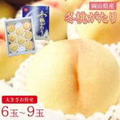 【予約受付】12/1~順次出荷【6~9玉】《秀品》岡山白桃 冬桃がたり