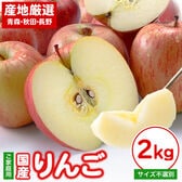 【2kg】国産りんご　※ご家庭用