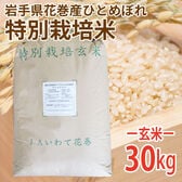 【30kg (30kg×1袋)】令和7年産 新米  玄米 岩手県花巻産ひとめぼれ特別栽培米