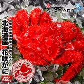 【650g前後】北海道 浜茹で花咲がに ※さばき方パンフ同梱