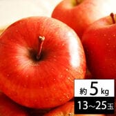 【予約受付】12/5~順次出荷【約5kg(13~25玉入り)】山形県産サンふじりんご ※ご家庭用