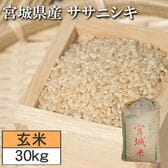 【30kg】令和7年度 宮城県産ササニシキ（玄米）