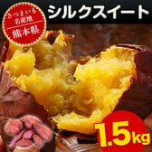 【予約受付】1/19~順次出荷【1.5kg】熊本県産 シルクスイート※ご家庭用(サイズ大中小不揃い)