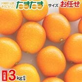 【予約受付】1/15~順次出荷【3kg前後】宮崎県産 きんかんたまたま ※サイズお任せ