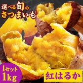 【1kg】選べるさつまいも 【熊本県産紅はるか】※家庭用(傷あり サイズ不揃い)
