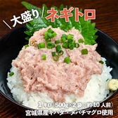 【計1kg(500g×2袋)/約10人前】「大盛りネギトロ」 宮城県産キハダ・メバチマグロ使用