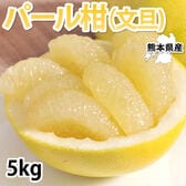 【予約受付】2/5~順次配送【5kg】熊本県産 パール柑（文旦）秀品