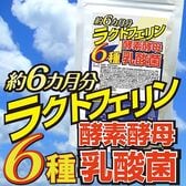 【日替わり数量限定】【約6か月分】ラクトフェリン酵素酵母6種乳酸菌【先行チケット利用NG】