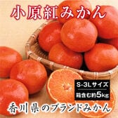 【予約受付】12/5~順次出荷【箱含む約5.0kg(S-3L)】香川県産 小原紅早生みかん