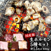 【5種計1.5kg(各300g×1パック)】豚の生ホルモン5種セット